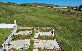 Vibescoruna- Malpica